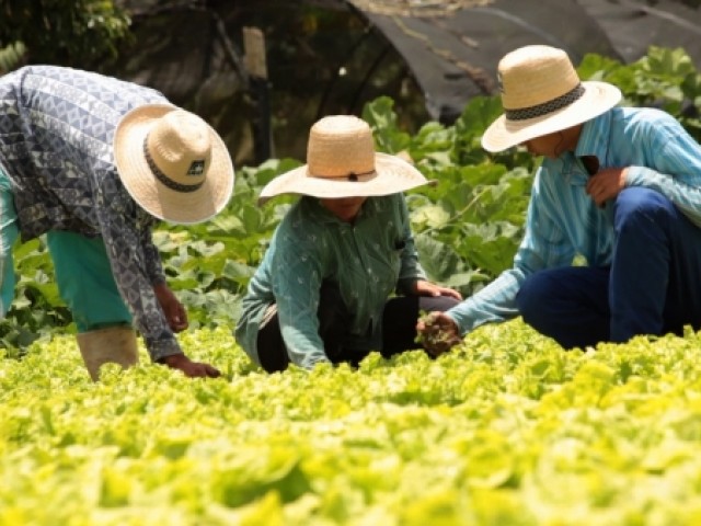 Semana Estadual de Ciência e Tecnologia começa nesta segunda-feira