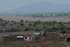 Prefeitura inicia hoje (16) mutirão nos conjuntos Brivaldo Medeiros e Antônio  | Reprodução