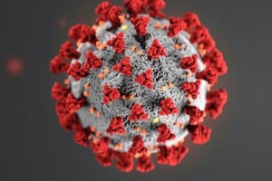 Brasil tem média de mortes por Covid abaixo de 100 pela 1ª vez desde janeiro | Crédito: CDC