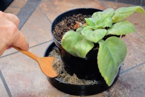 Sesau orienta municÃpios a intensificarem ações de vigilância contra o Aedes aegypti | ASCOM/Sesau - AL