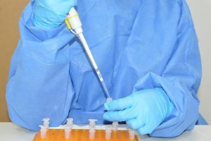 Primeiro caso da subvariante BQ.1 da Covid-19 é detectado em Alagoas |